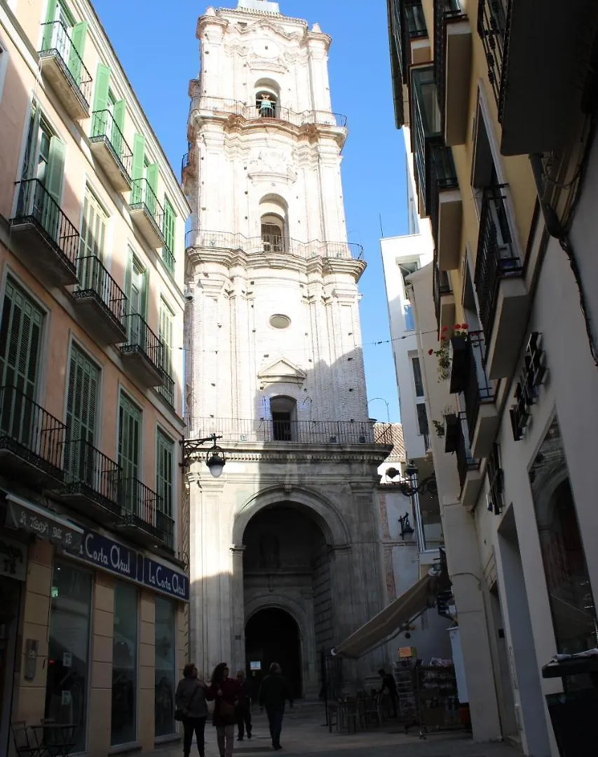 Fan Flat San Juan Apartment Malaga Spain